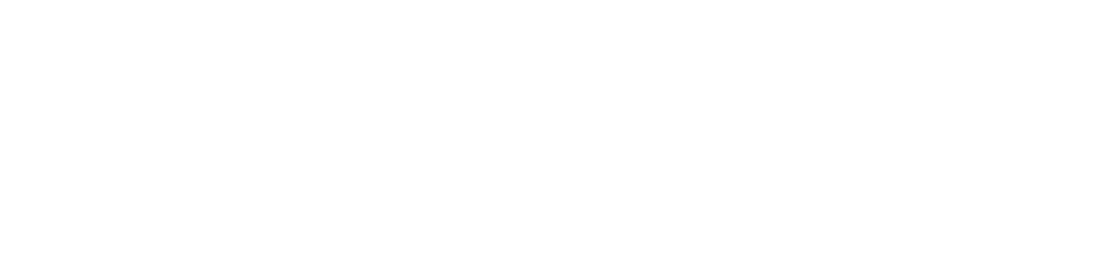 ZynkoSeo